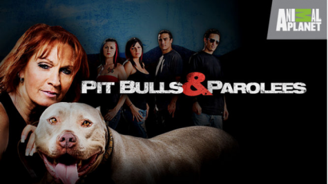 Pit Bulls & Parolees TV Review